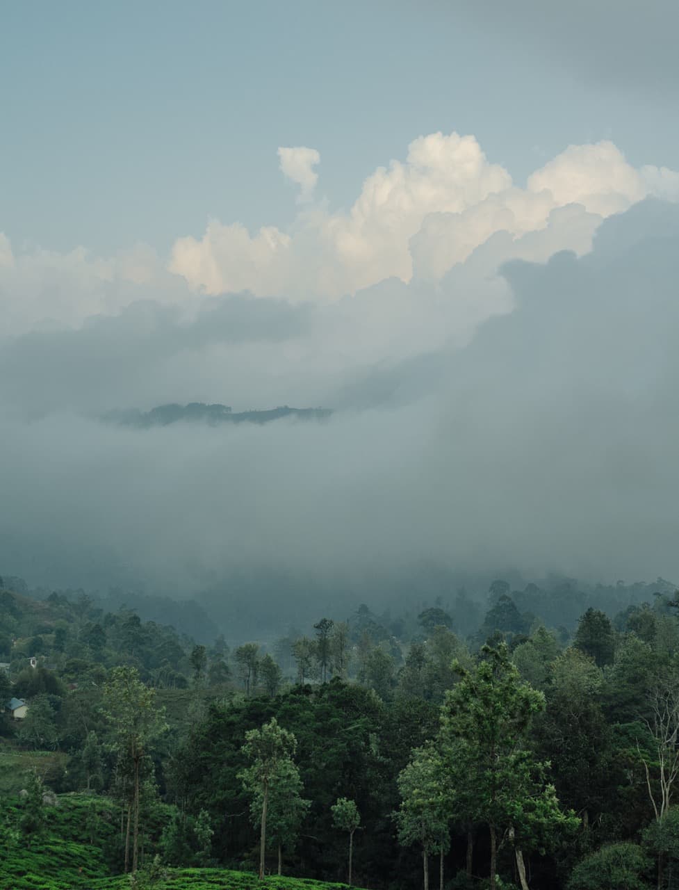 Превью Sri Lanka 2022